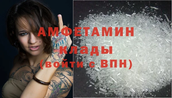хмурый Чита