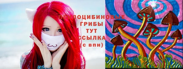 2c-b Осташков