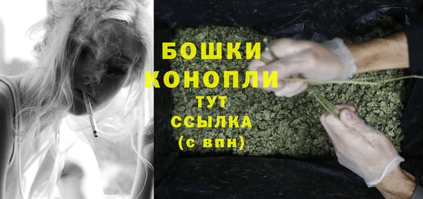 шишки Пенза