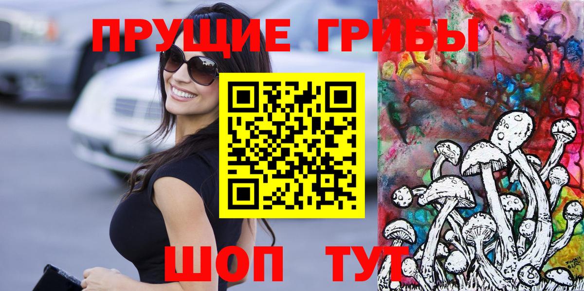 Галлюциногенные грибы Psilocybine cubensis Кострома