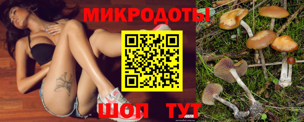 Кострома  Псилоцибиновые грибы мицелий  Вход с VPN 